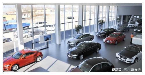 8200萬(wàn)汽車消費(fèi)券成功發(fā)放，汽車銷售行業(yè)或迎新爆發(fā)